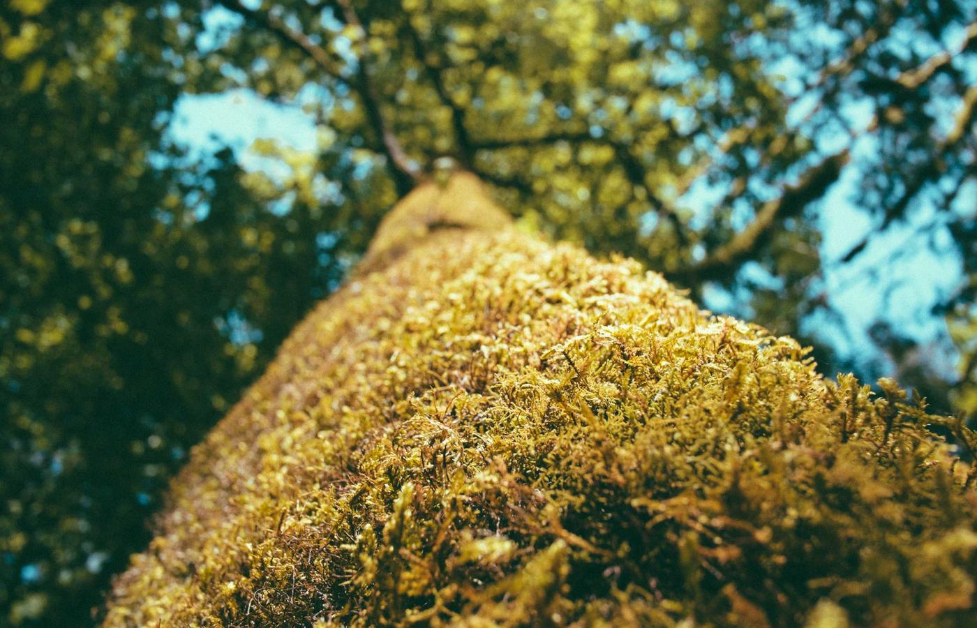 Ірі сауда желісін автоматтандыру