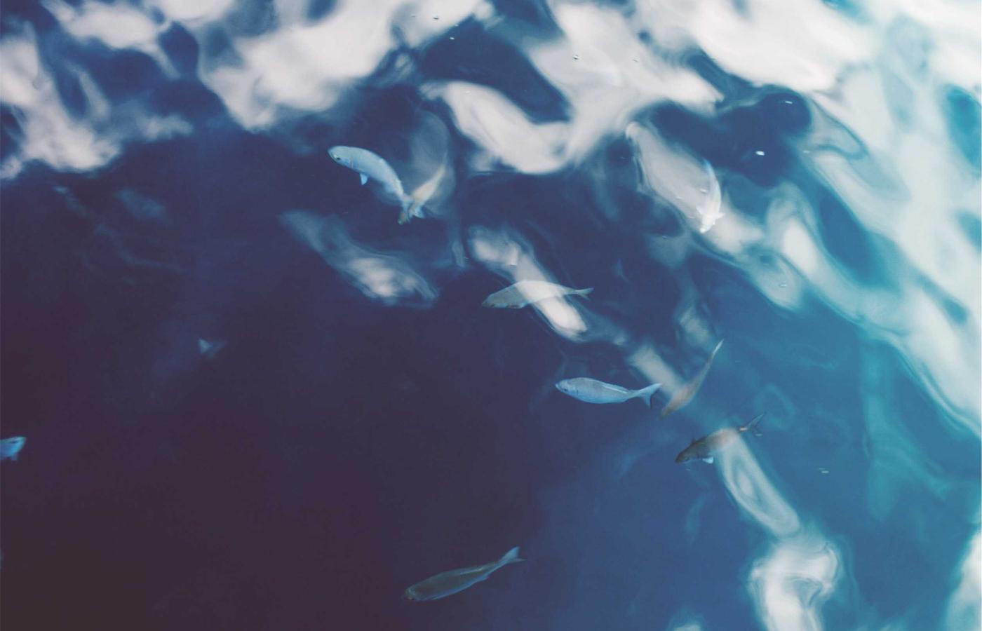 Мақала суреті