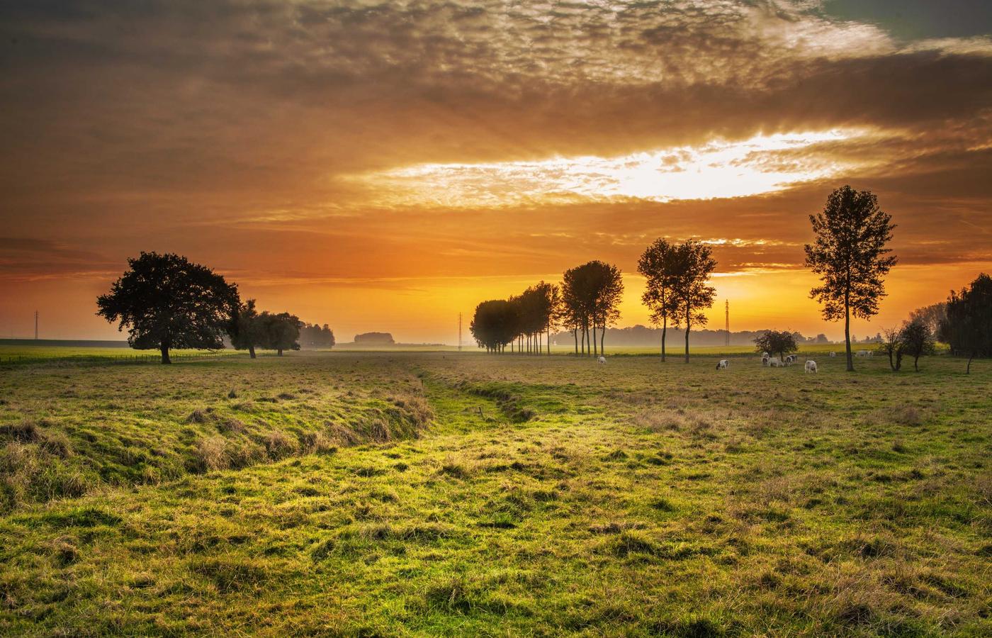 Динара Оспанова