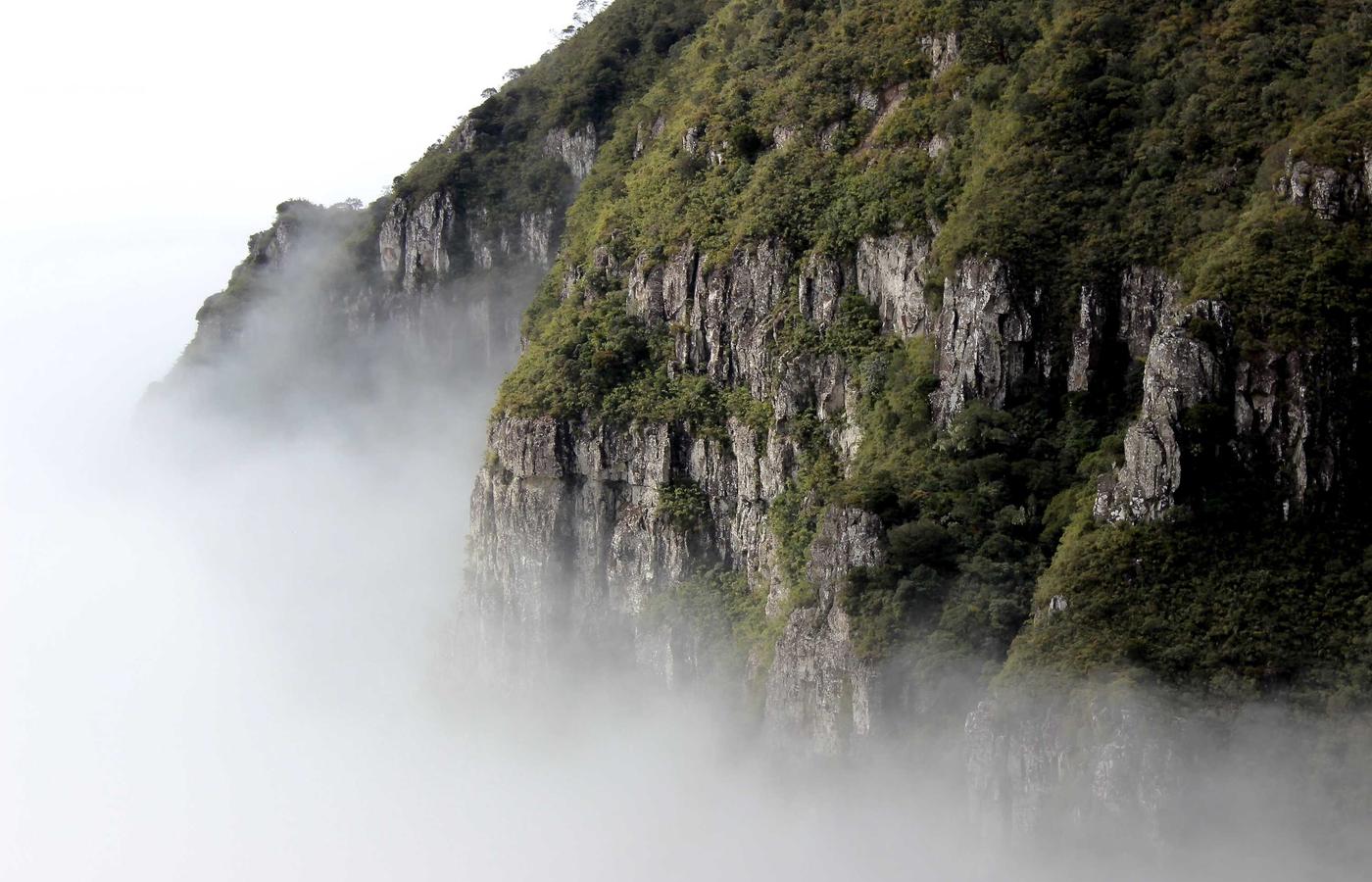 Компания тарихы